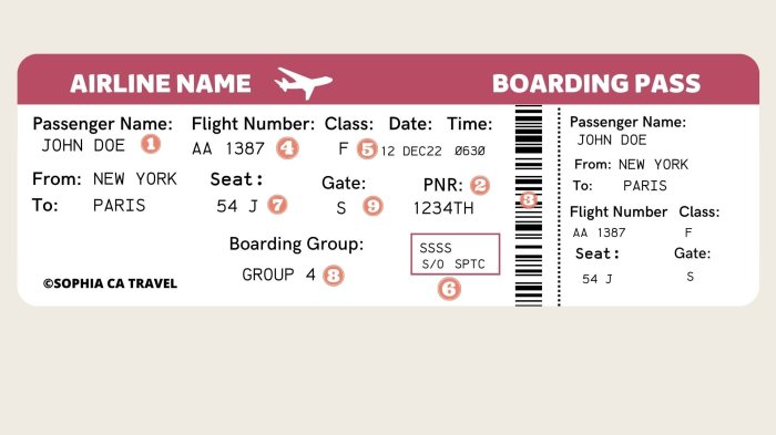 World Travel Plane Ticket