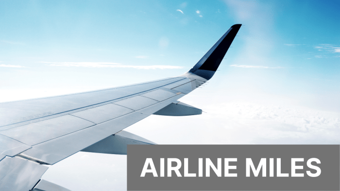 Airline Miles Blog