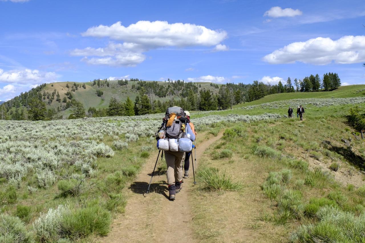 Backpacking Yellowstone