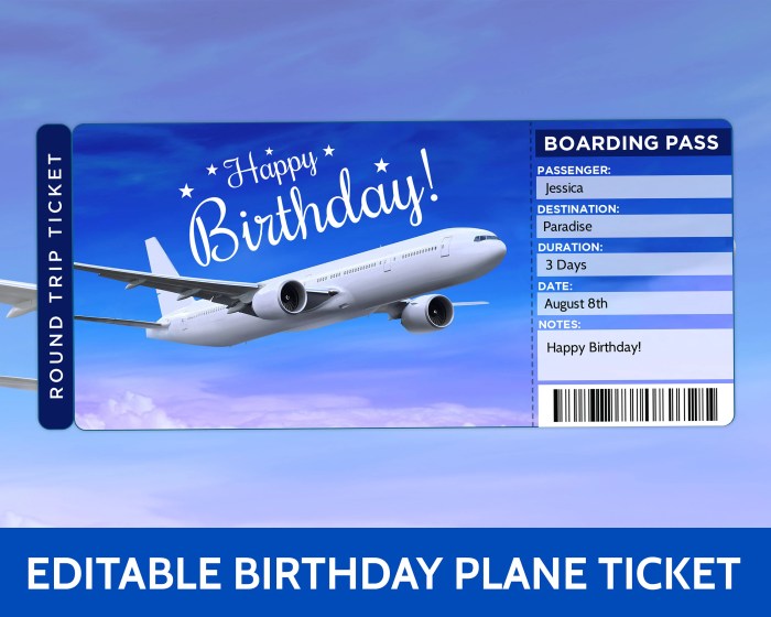 World Plane Ticket